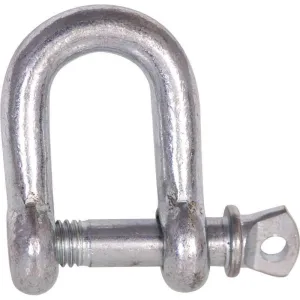 Dee Shackle 16mm